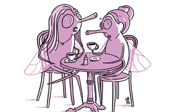 Cartoon