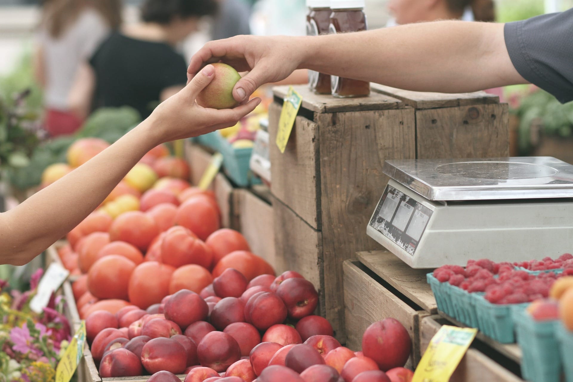 Markt und Moral
