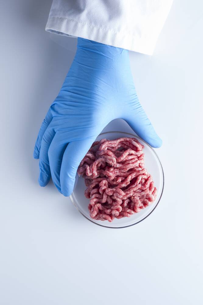 Laborfleisch ist ein Rohrkrepierer