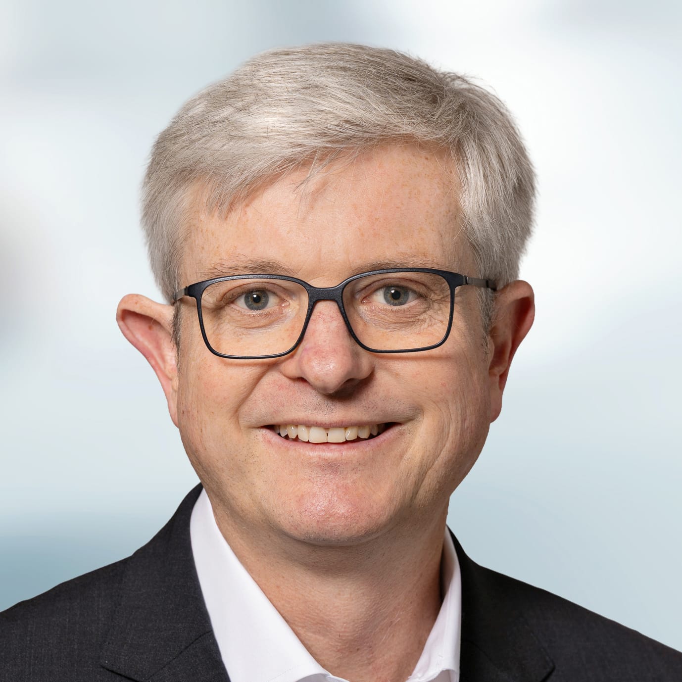 Die Regierung in die Schranken der Verfassung weisen