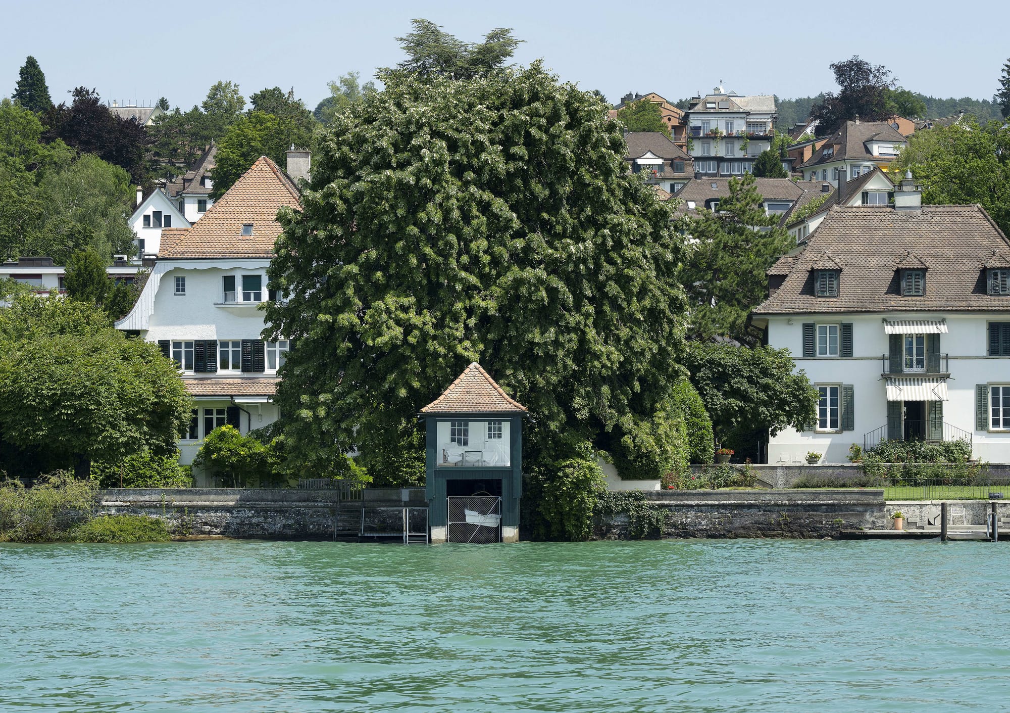 Zuwanderung belohnt das Establishment