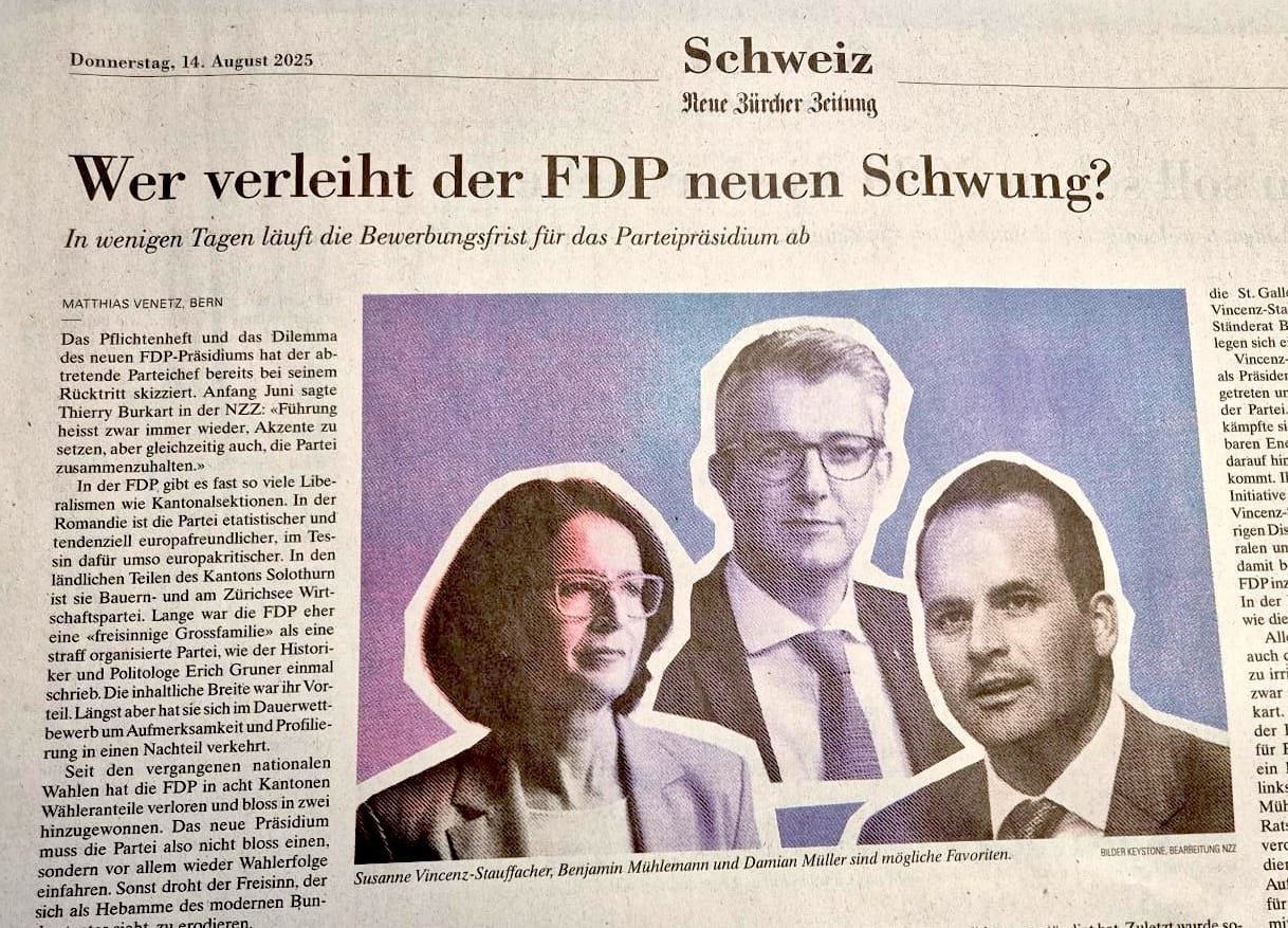 FDP sucht naiven Provinzler für Burnout