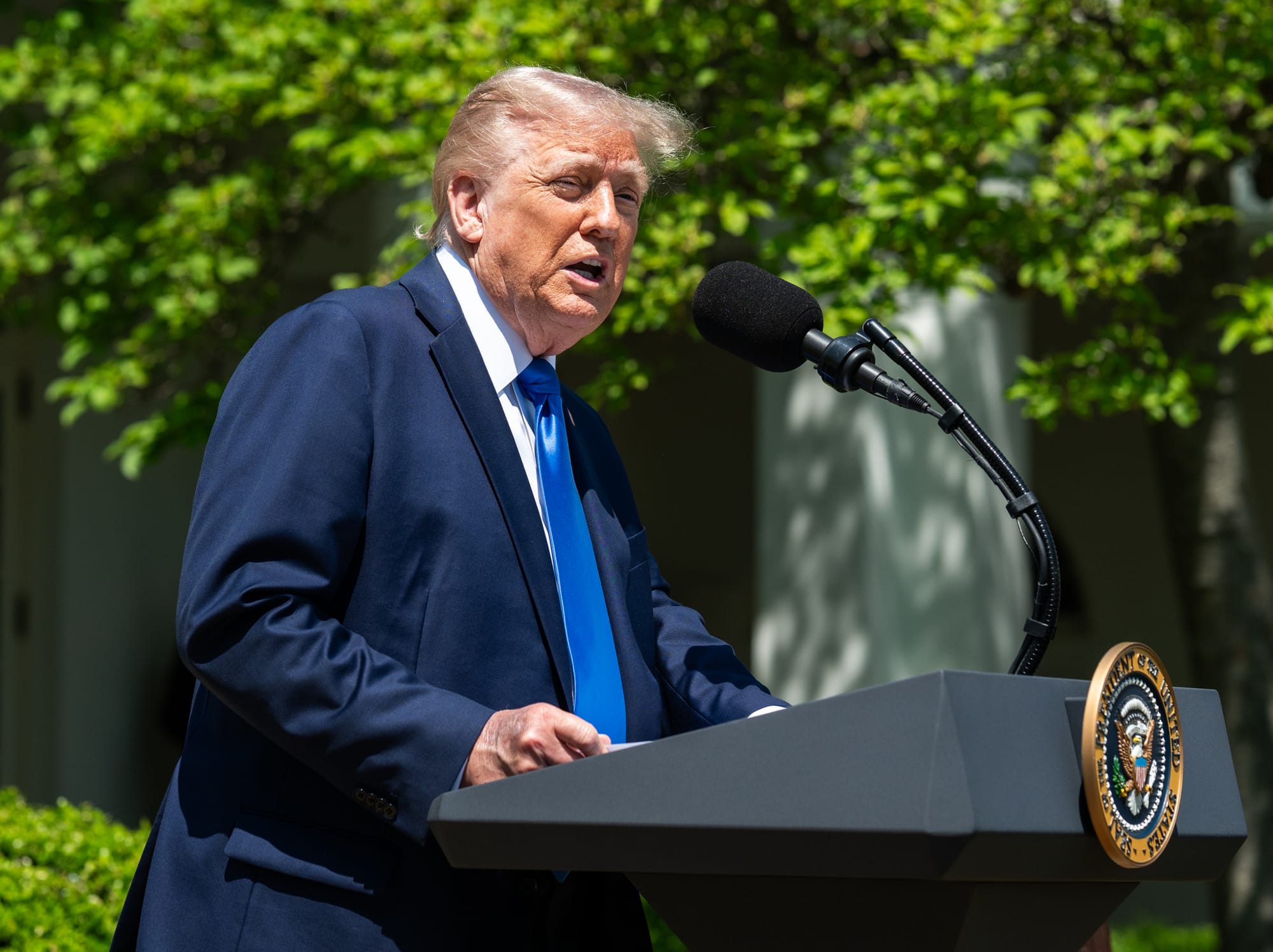 Peak Trump: Five Predictions for 2026