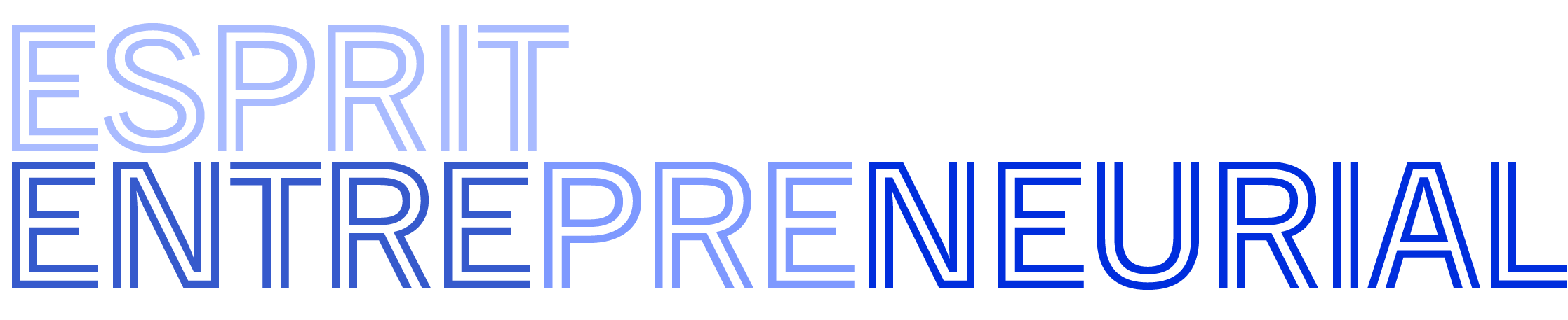 Esprit entrepreneurial