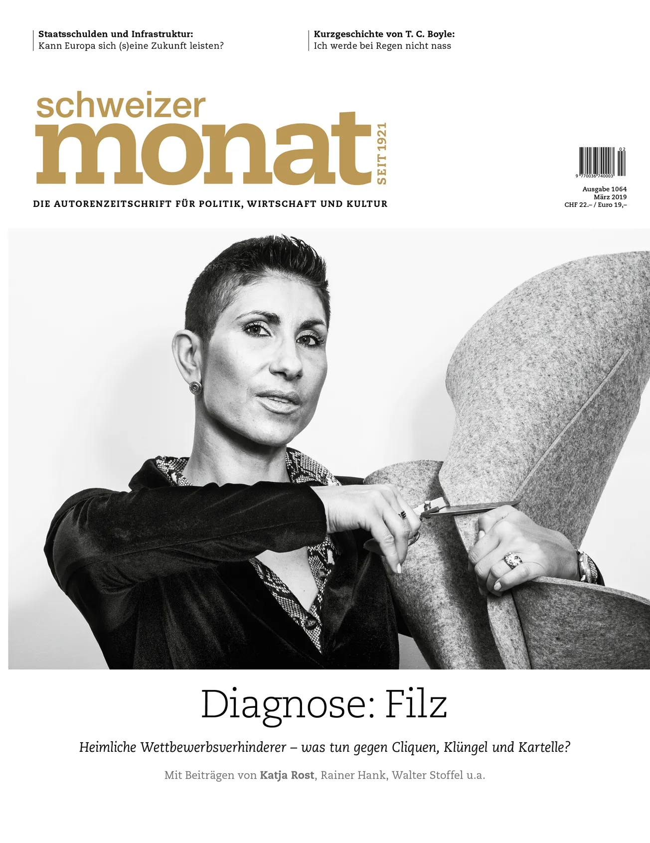 Cover: Diagnose: Filz