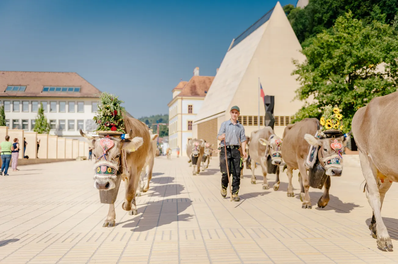 Vom ärmlichen Bauernland zum prosperierenden Kleinstaat – die erstaunliche Entwicklung Liechtensteins
