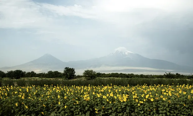 Brandy-Flut und Ararat-Anomalie