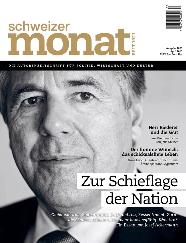 Cover: Zur Schieflage der Nation