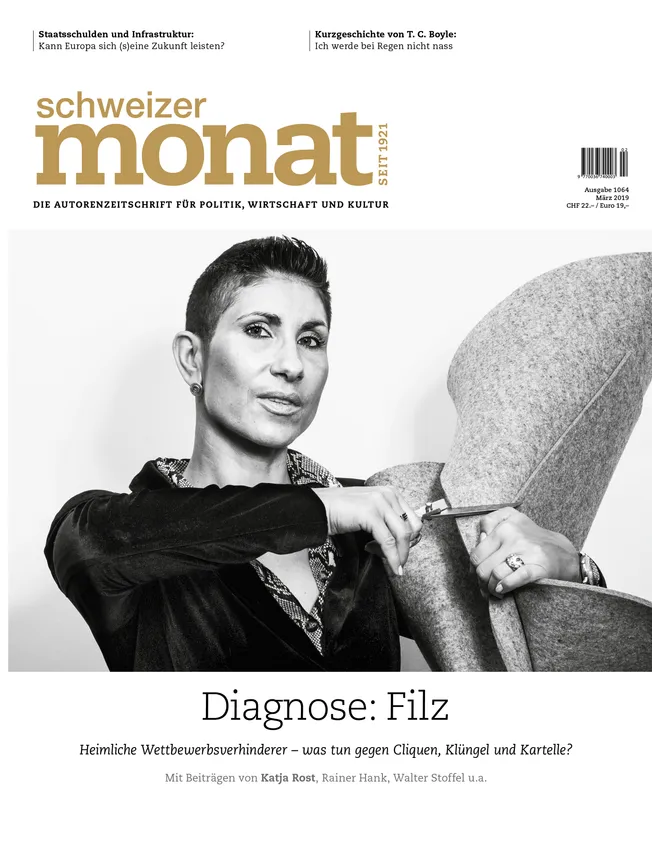 Cover: Diagnose: Filz