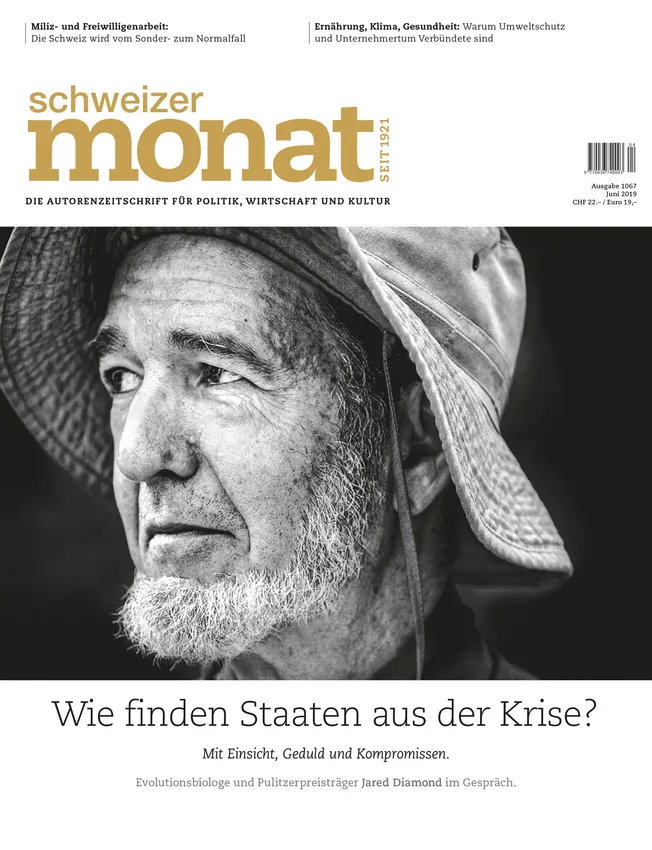 Cover: Wie finden Staaten aus der Krise?