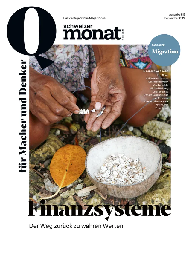 Cover: Finanzsysteme