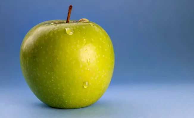 Schwerpunkt: «Natur»
